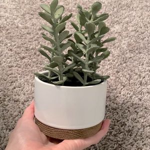Small potted faux plant